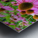 Petal Parade Metal print
