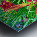 Scarlet Awakening Metal print