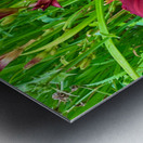 Burgundy Muse Metal print