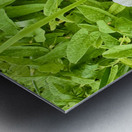 Clustered Bindweed Flowers Metal print