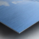 IMG 0088 Metal print