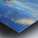 IMG 0557 Metal print