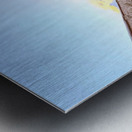 IMG 9974 Metal print