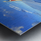 IMG 0555 Metal print