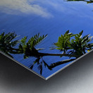 IMG 0025 Metal print