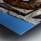 IMG 0101 Metal print