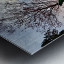 IMG 0496 Metal print