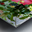 IMG 9958 Metal print