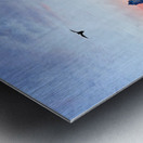 IMG 7331 Impression metal