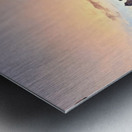 IMG 7980 Metal print