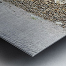 IMG 8818 Metal print