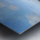 Seal Meditation 2B Metal print