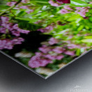 Penelope Purple Metal print