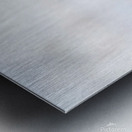 A Blonde Squirrel Moment Impression metal