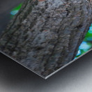 Tastes Like Chicken...Because it IS Metal print