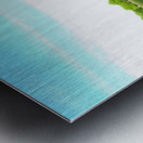 MI Swan Lake 2 Metal print