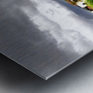 Vineyard in South Africa Metal print