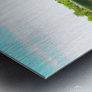 MI Swan Lake Metal print