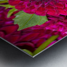 Flower Bloom 4 Metal print