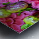 Flower Bloom 1 Metal print