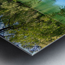 Pond Do  Metal print