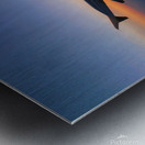 Flying into the Sunset 3 Metal print