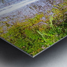 Falling for Colors Metal print