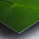 Blooms of Joy 2 Impression metal