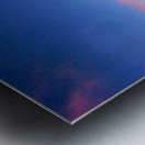 Flying into the Sunset 5 Metal print