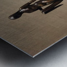 Museum Reflections 3B Impression metal