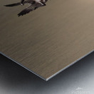 Museum Reflections 4C Metal print