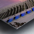 San Rose California Metal print