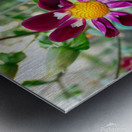 Flower Bloom 5 Metal print