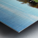 Grazing Fields of Avebury Henge and Stone Circles  Impression metal