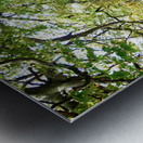 Rooted in Strength Metal print