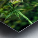 Thistle Be a Good Day Metal print