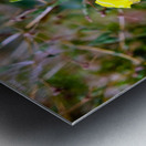 To Bee or Not to Bee  3   -- The Struggle Is Real Metal print