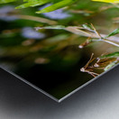 To Bee or Not to Bee  4 Impression metal