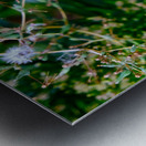 To Bee or Not to Bee  -- Kiss My Shiny Bumble Butt Impression metal