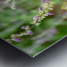 To Bee or Not to Bee -- Small Flower Big Flavor  Metal print