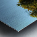 Palace of Versailles -- Gardens Impression metal