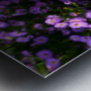 Flower Bloom 6 Impression metal