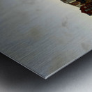 Calm Along River Quay 2 Metal print