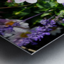 Blushing Petals 2B Metal print