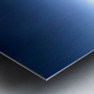 High Howdy Metal print