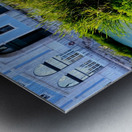 Ducking the Tourists Impression metal