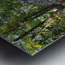 Just Rocking Life  Impression metal