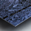 Winter Wonderland 2 Metal print