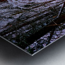 Bowing to Winter Impression metal