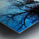 Winterscape 2 Impression metal